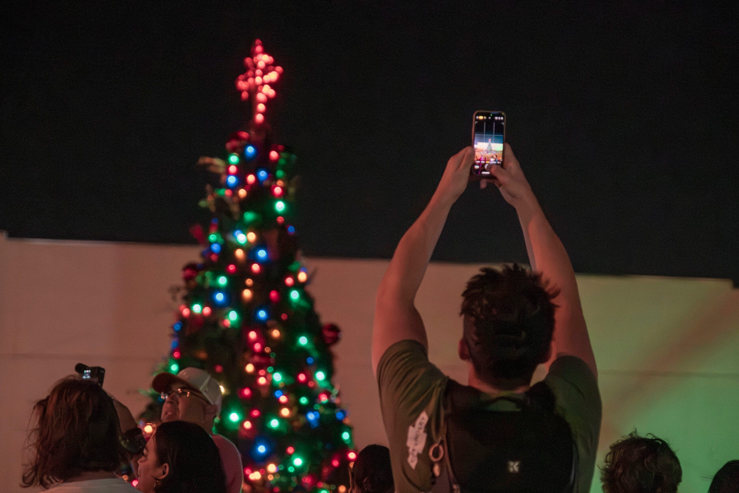 Friday Evening — Community Christmas Tree Lighting